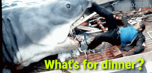 What'S For Dinner Robert Shaw GIF
