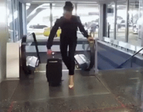 Wheels GIF