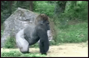 When You See Your Ex At A Party GIF