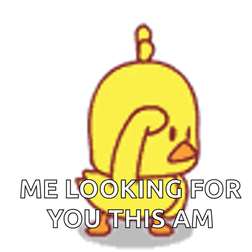 Where Are You Chick GIF