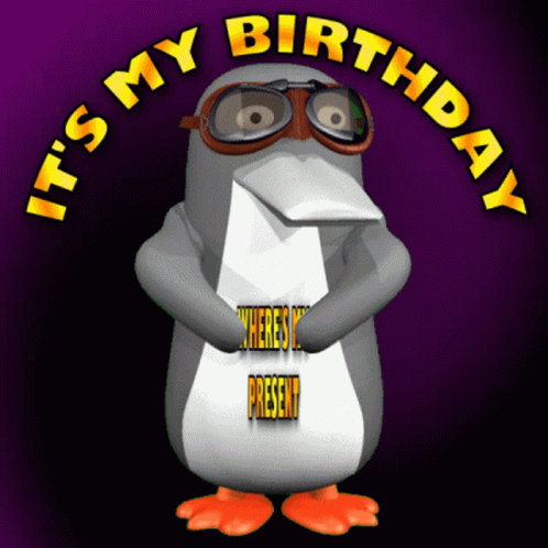 Wheres My Present Its My Birthday GIF