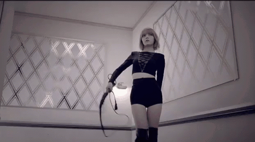Whip Discipline GIF