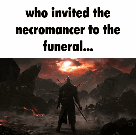 Who Invited Necromancer To The Funeral Dark Souls GIF