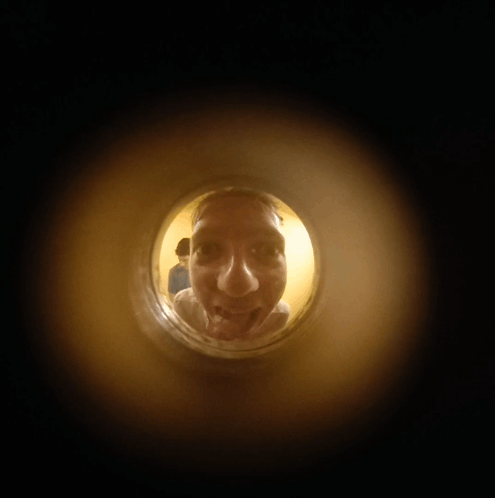 Who Is There Who There GIF