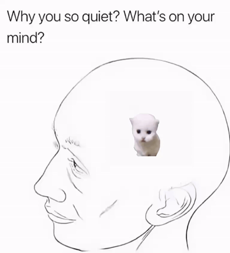 Why So Quiet Hopcat GIF