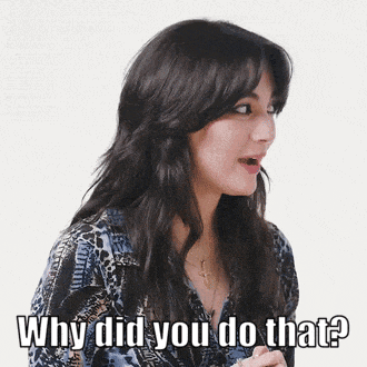 Why Would You Do That Rock GIF