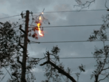 Why You Don'T Cross The Streams GIF
