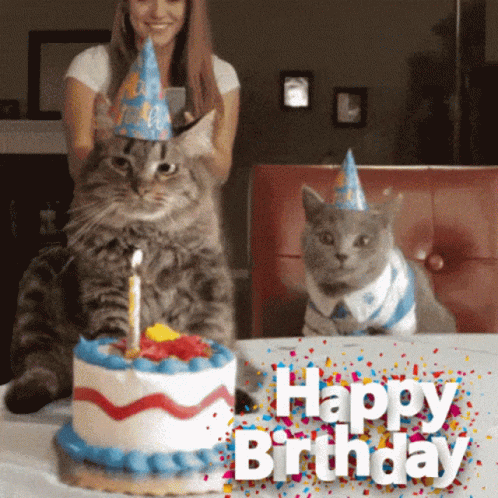 Why You GIF