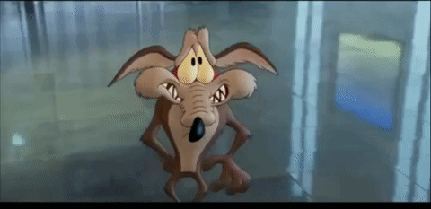 Wile E Coyote Looneytunesforever GIF