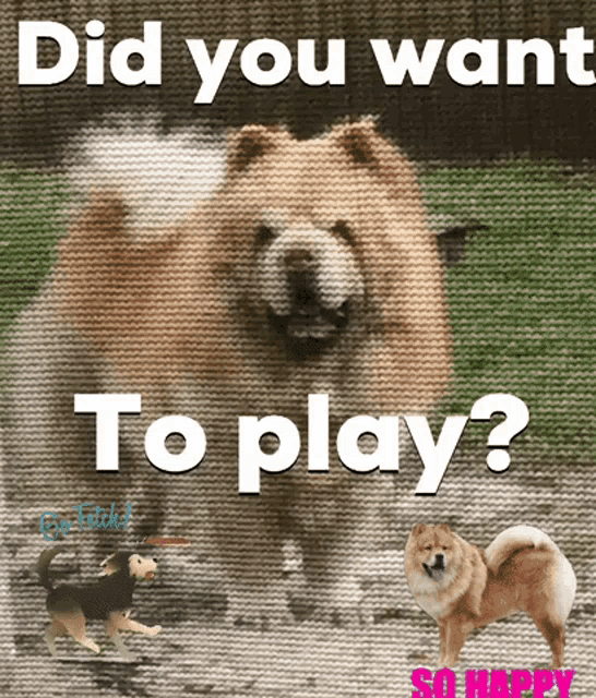 Wind Cold GIF