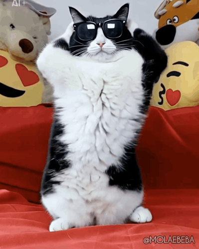 Winner Weekend GIF