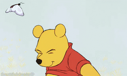 Winnie The Pooh Disney GIF