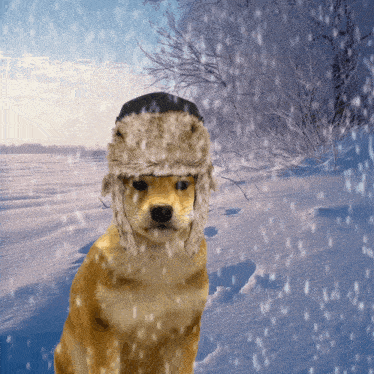 Winter Snowy GIF