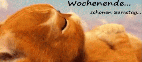 Wochenende... Schönen Samstag GIF