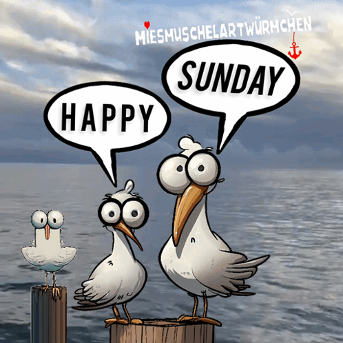 Wochenende Sonntag GIF