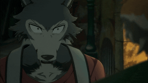 Wolf Grey Wolf GIF