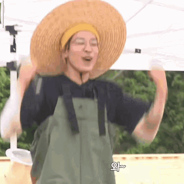 Wonwoo Frxbeom GIF
