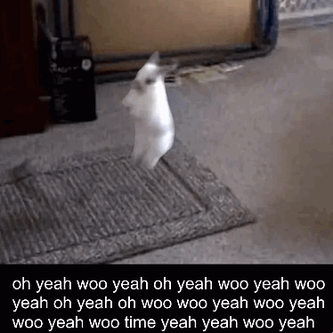 Woo Time Tennis Woo Yeah GIF