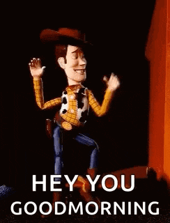 Woody Toystory GIF