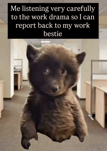 Working Place Corporate Life GIF