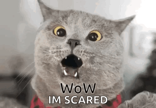 Wow GIF