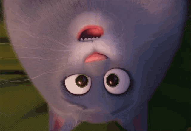 Wow Wide Eyes GIF