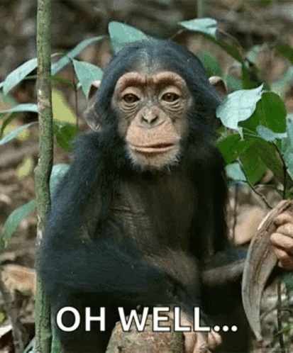 Wow Yeah GIF