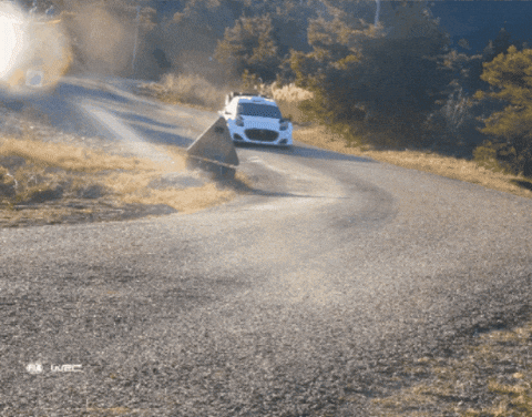 Wrc Racing GIF