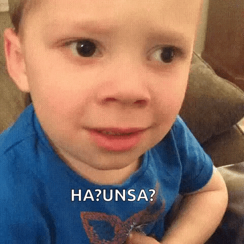 Wtf GIF