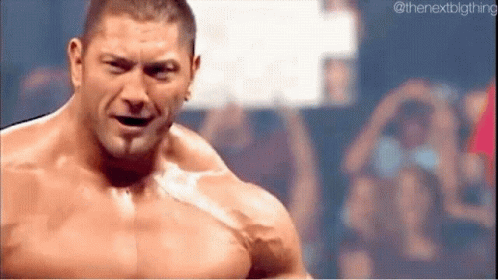 Wwe Fight Batista Wwe GIF
