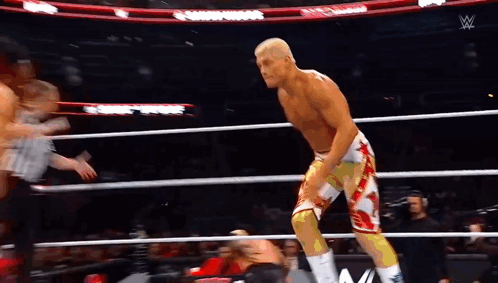 Wwe Wwe 2024 GIF