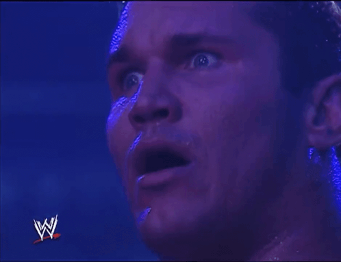 Wwe Wwe Survivor Series 2005 GIF