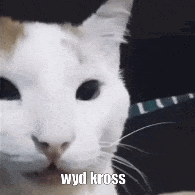 Wyd Kross Balls GIF