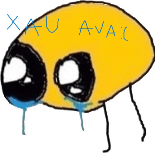 Xau Ava Meme