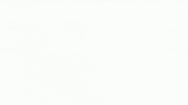 Xd Furry Meme GIF