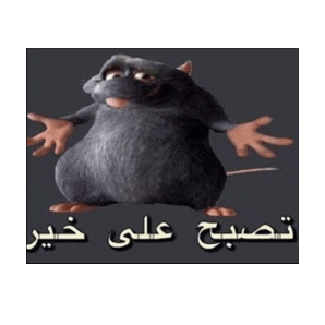 Xd Meme