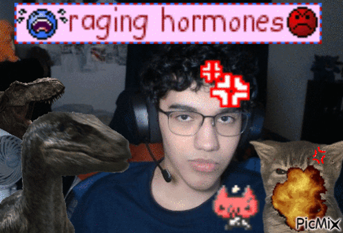 Xehrno Cute GIF