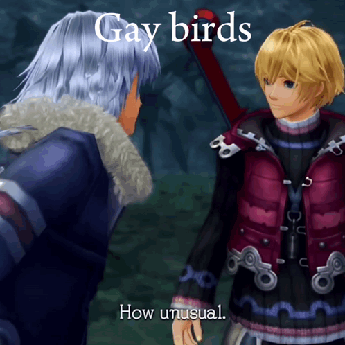 Xenoblade Xenoblade Chronicles GIF