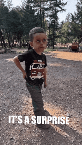 Xllcarolinellx It'S A Surprise GIF