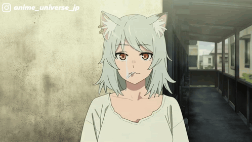 Yaniko Satou Yani Neko GIF