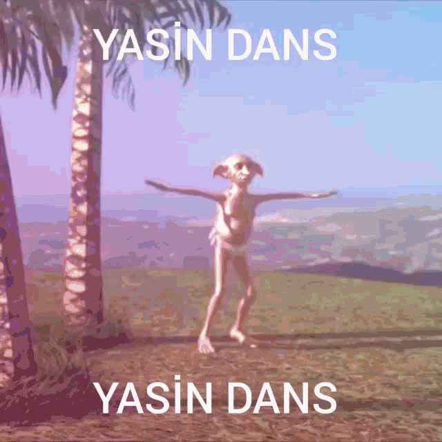 Yasin Yasin Dans GIF