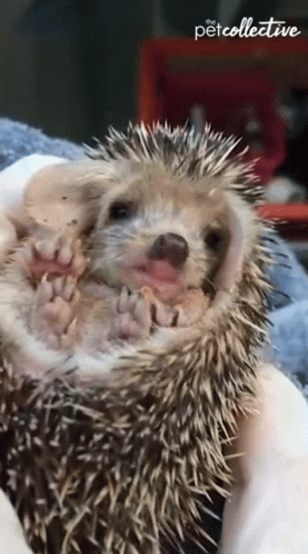 Yawning Sleepy GIF