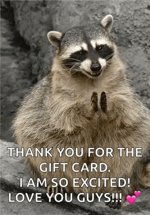 Yay Awesome GIF