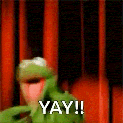 Yay Excited GIF