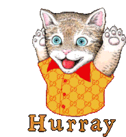 Yay Hurray Sticker