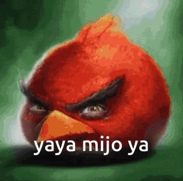 Yaya Mijo Ya Ya Ya Mijo Ya GIF