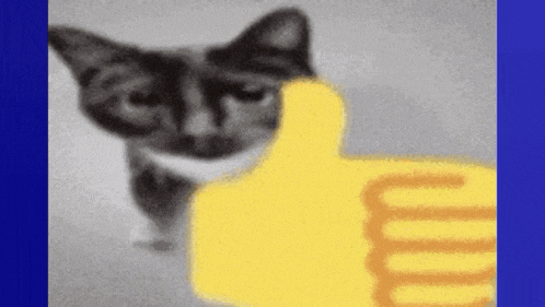 Yeah Maybe Someday Yeah Maybe Someday Fangar GIF