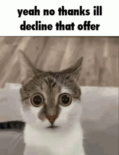 Yeah No GIF