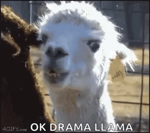 Yeah Ok GIF