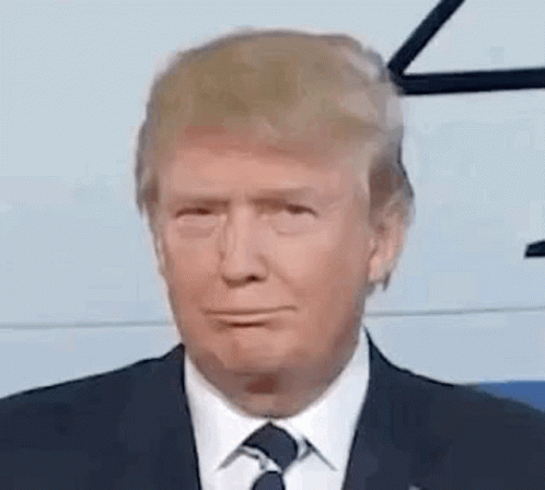 Yeah Right GIF